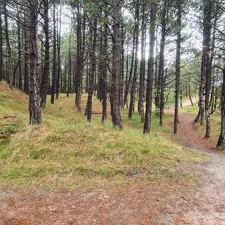 6 Person In Romo-by Traum 度假居 *