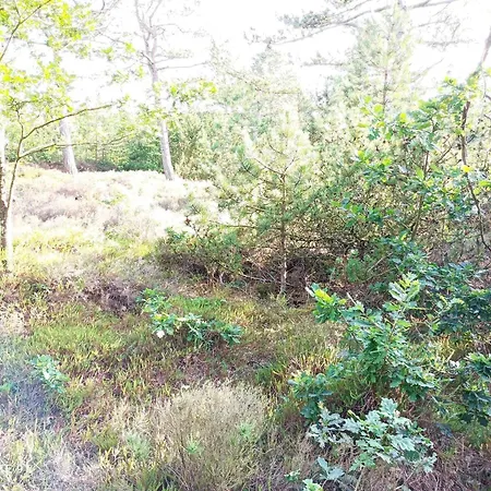 Ferienhaus 6 Person In Romo-by Traum Bolilmark