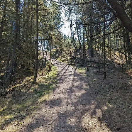 6 Person In Romo-by Traum * Bolilmark