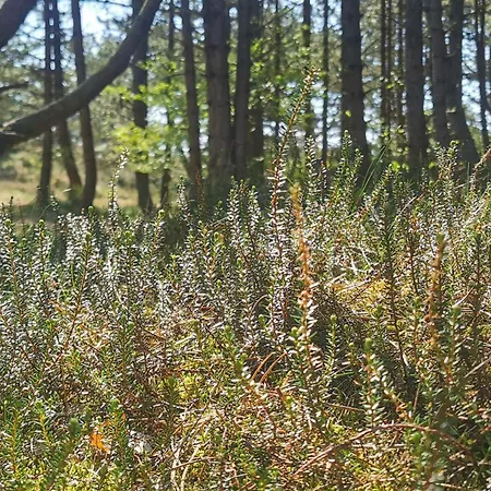 6 Person In Romo-by Traum 度假居