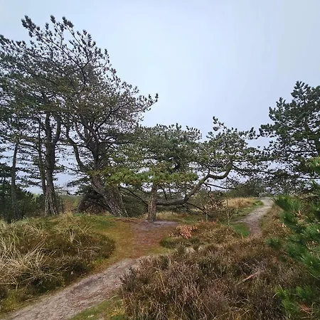 6 Person In Romo-by Traum *