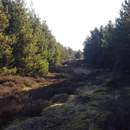 6 Person In Romo-by Traum * Bolilmark