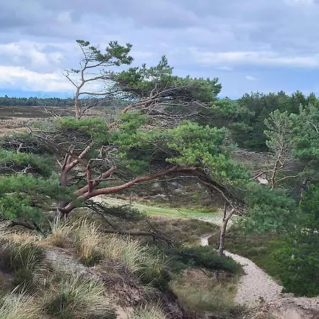 Ferienhaus 6 Person In Romo-by Traum Bolilmark