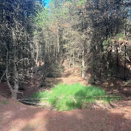 度假居 6 Person In Romo-by Traum Bolilmark