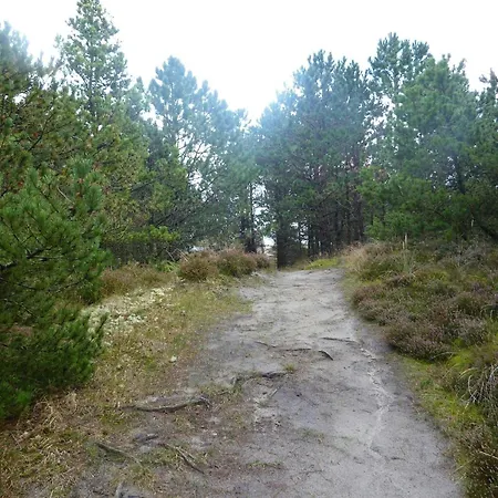 Ferienhaus 6 Person In Romo-by Traum