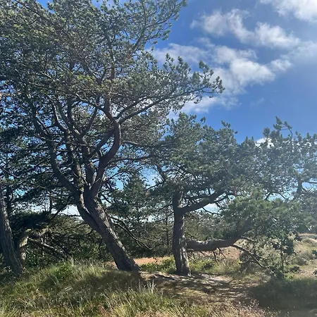 6 Person In Romo-by Traum