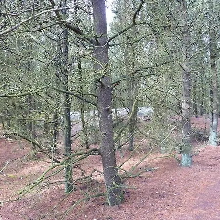 6 Person In Romo-by Traum *