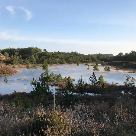 6 Person In Romo-by Traum